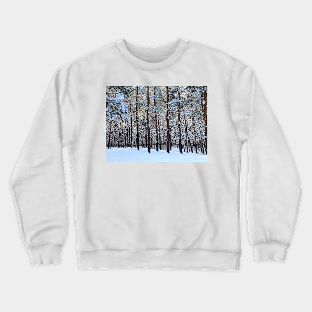 View at the Sormovsky Park in Nizhny Novgorod with pine trees, trunks, snow, crowns Crewneck Sweatshirt by KristinaDrozd